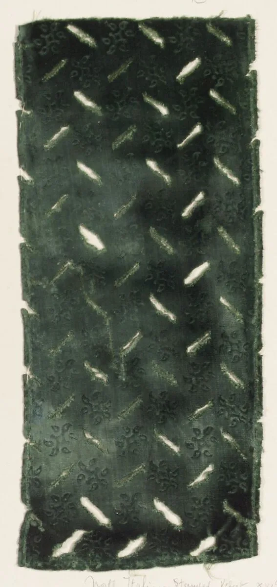Fragment of stamped velvet with slashing — Unknown