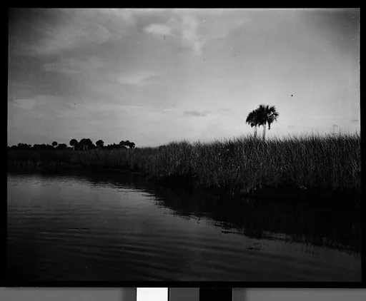[Coastal Landscape, Florida]