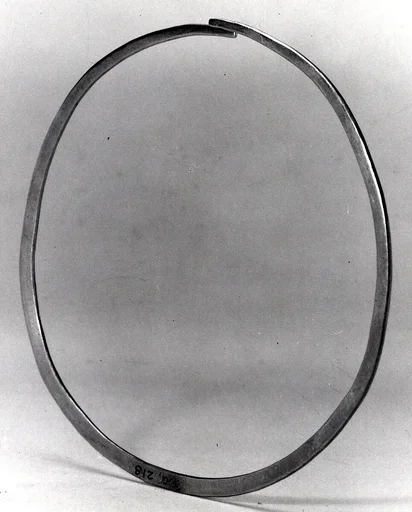 Nose Ornament