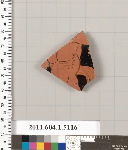 Terracotta fragment of a kylix (drinking cup)
