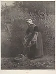 The Bean Picker