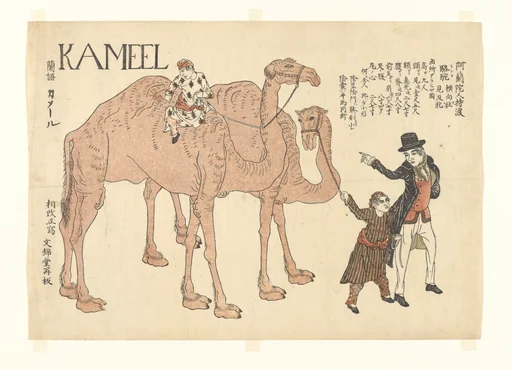 「阿蘭陀人持渡駱駝」|Camels with Dutch Handlers