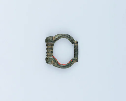 Buckle Loop