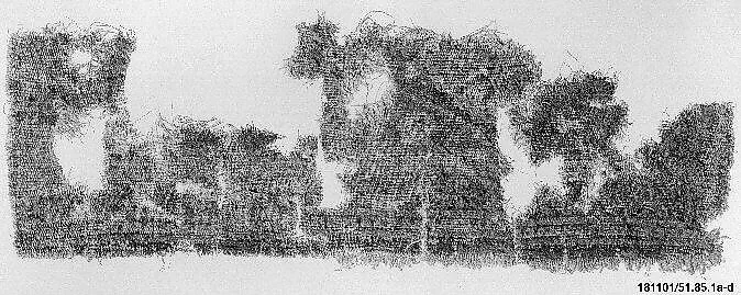 Carpet Fragment — Unknown