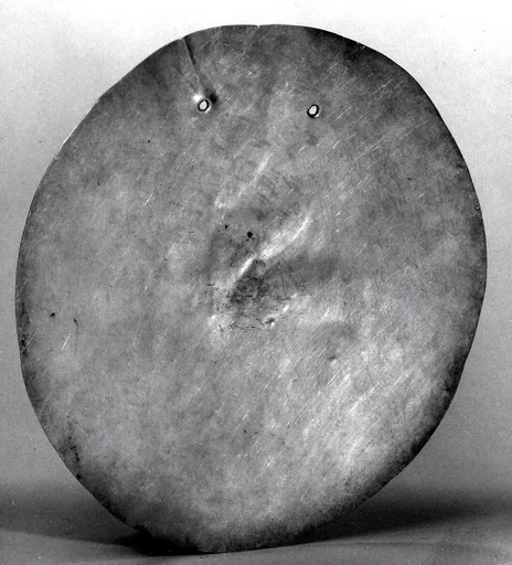 Pectoral Disk