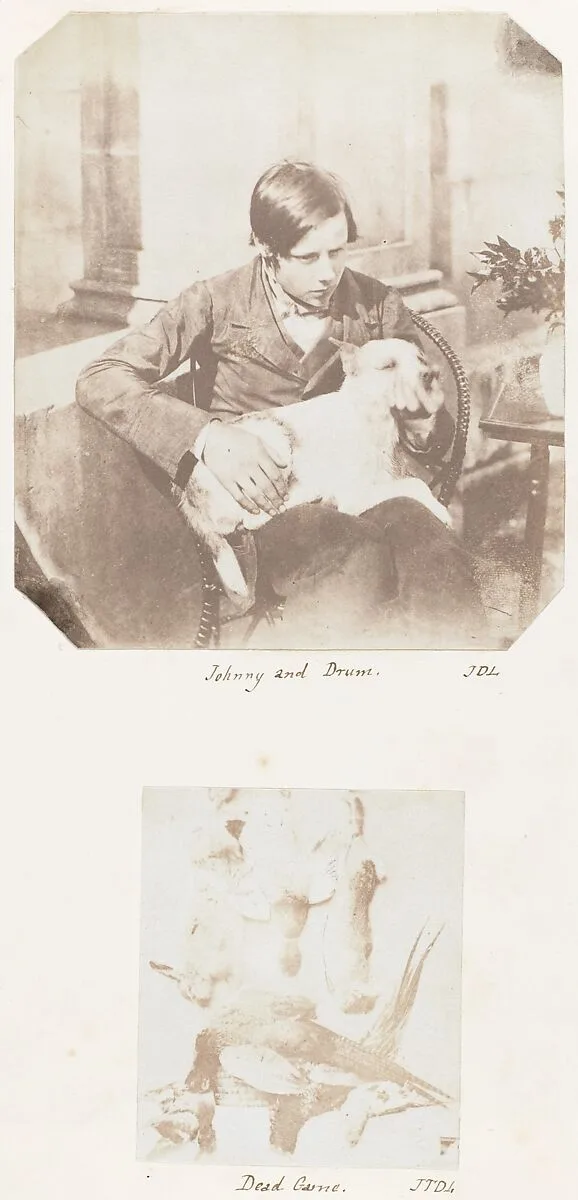 Johnny and Drum; Dead Game — John Dillwyn Llewelyn