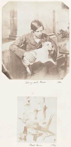 Johnny and Drum; Dead Game