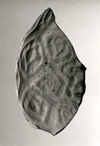 Two Fragments of Molded Glass — Unknown