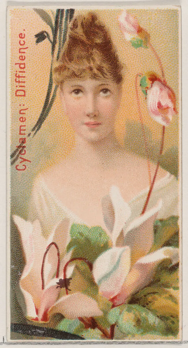 Cyclamen: Diffidence, from the series Floral Beauties and Language of Flowers (N75) for Duke brand cigarettes — Donaldson Brothers|American Tobacco Company