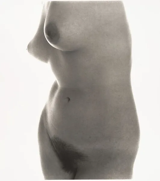Nude No. 30 — Irving Penn