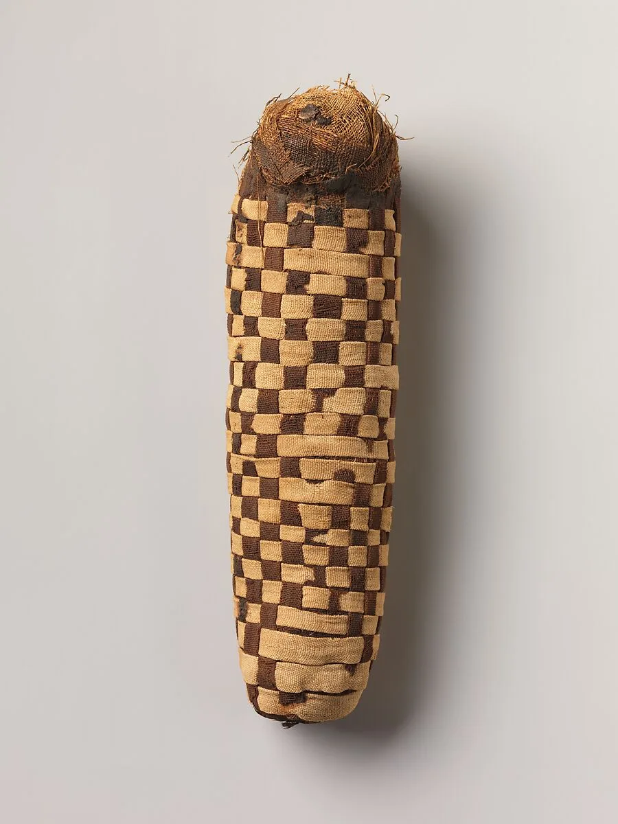 Sacred animal mummy containing a dog — Unknown