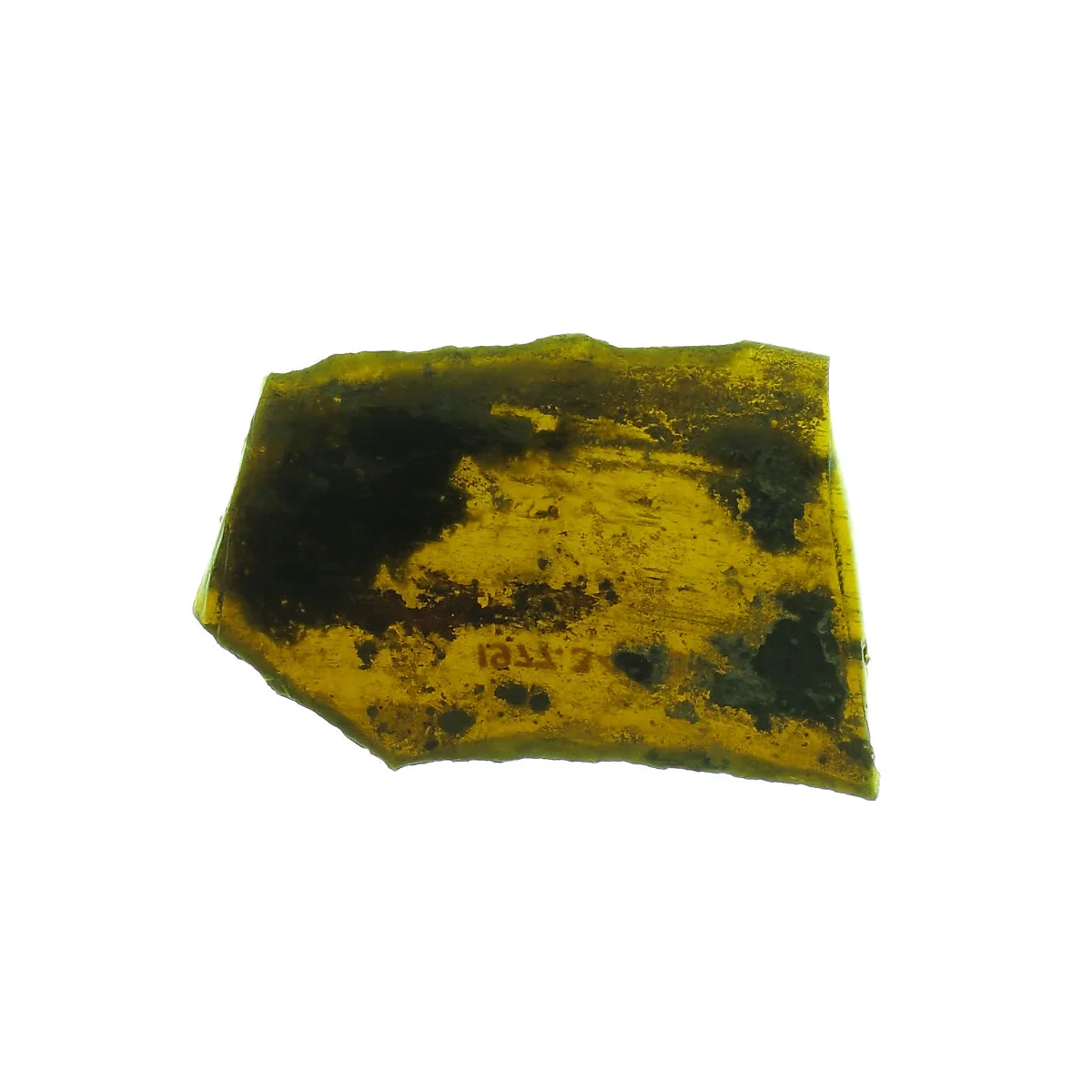 Glass Fragment — Unknown