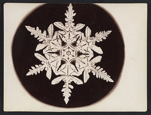 [Snow Crystal]