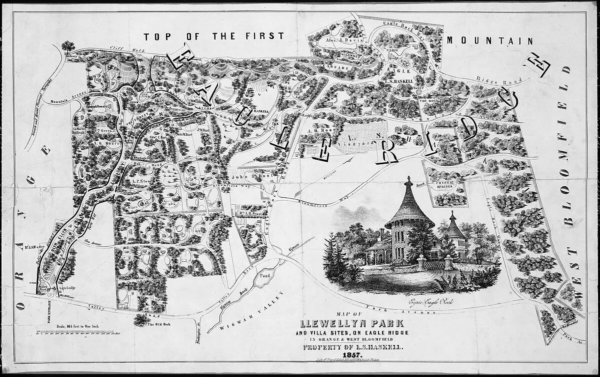 Map of Llewellyn Park and Villa Sites, on Eagle Ridge in Orange & West Bloomfield — Alexander Jackson Davis|Friend & Aub