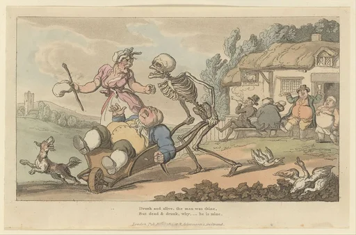 The Sot (The English Dance of Death, plate 12)