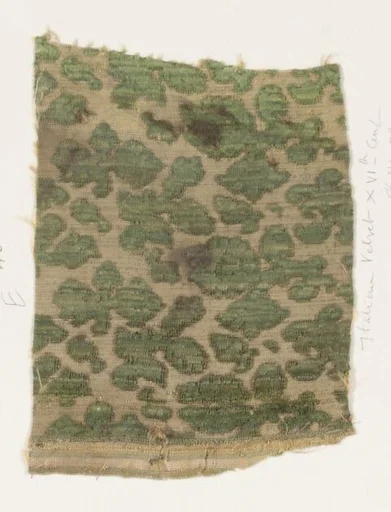 Fragment