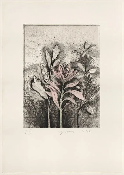 Tropical Succulents — Deli Sacilotto|Jim Dine|Pace Prints|Mitchell Friedman