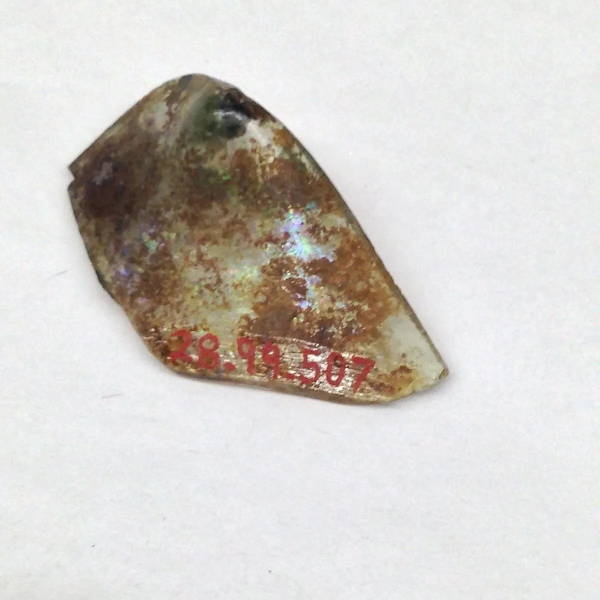 Fragment — Unknown