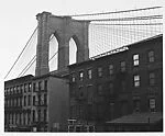 [View of Brooklyn Bridge Behind Tenement Houses]