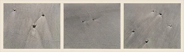 Untitled — Harry Callahan