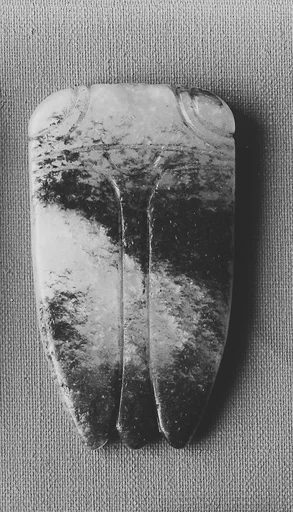 蟬|Cicada