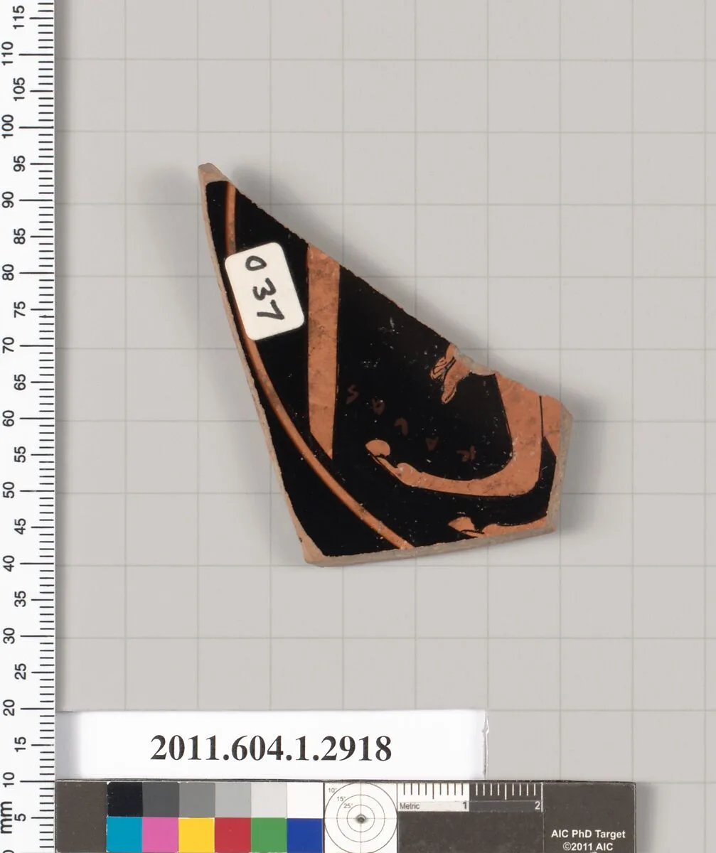 Terracotta fragment of a kylix (drinking cup) — Unknown