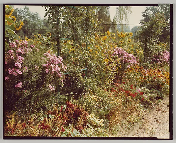 Giverny — Stephen Shore
