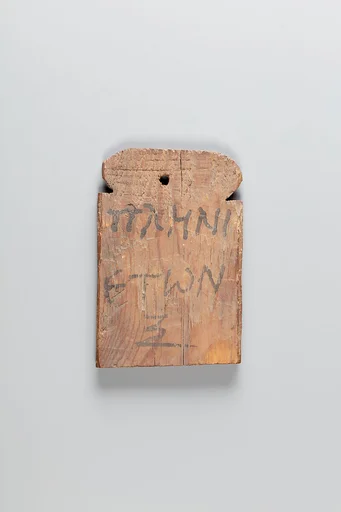 Mummy label of Pleni, age 60