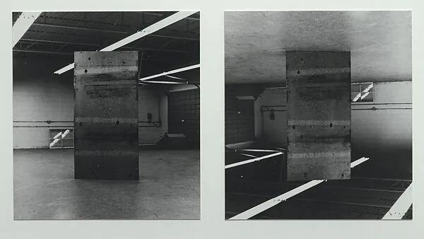 Inverted Plywood — William Wegman