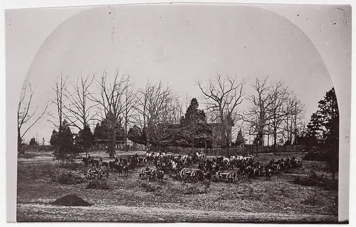 [Cache of Cannon].  Brady album, p. 123