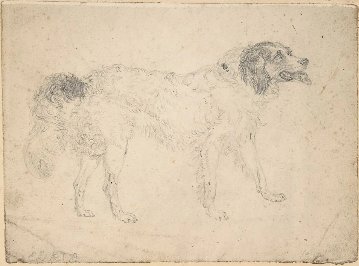 Study of a Herding Dog Facing Right — Sir Edwin Henry Landseer