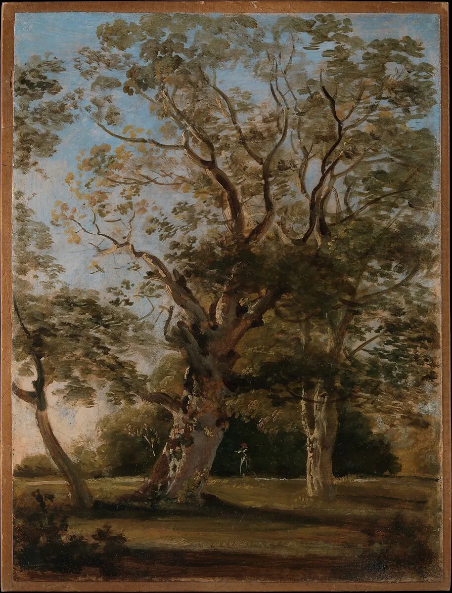 Beech Trees in the English Garden, Munich — Johann Georg von Dillis