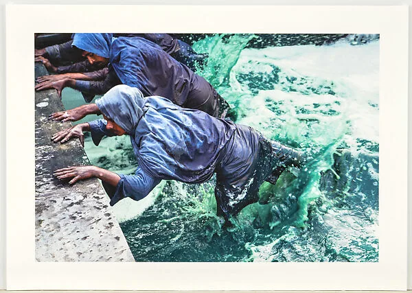Indigo Extraction 1, Tamil Nadu — Briana Blasko