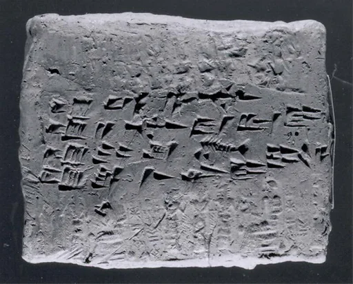 Cuneiform tablet case impressed with five cylinder seals, for cuneiform tablet 66.245.21b: court deposition