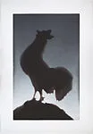 Rooster — Edward Ruscha|Crown Point Press|Crown Point Press