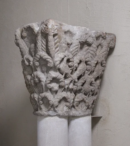Double Capital with Birds