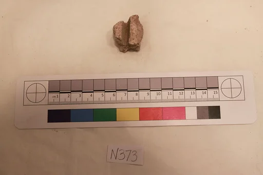 Stucco Fragment