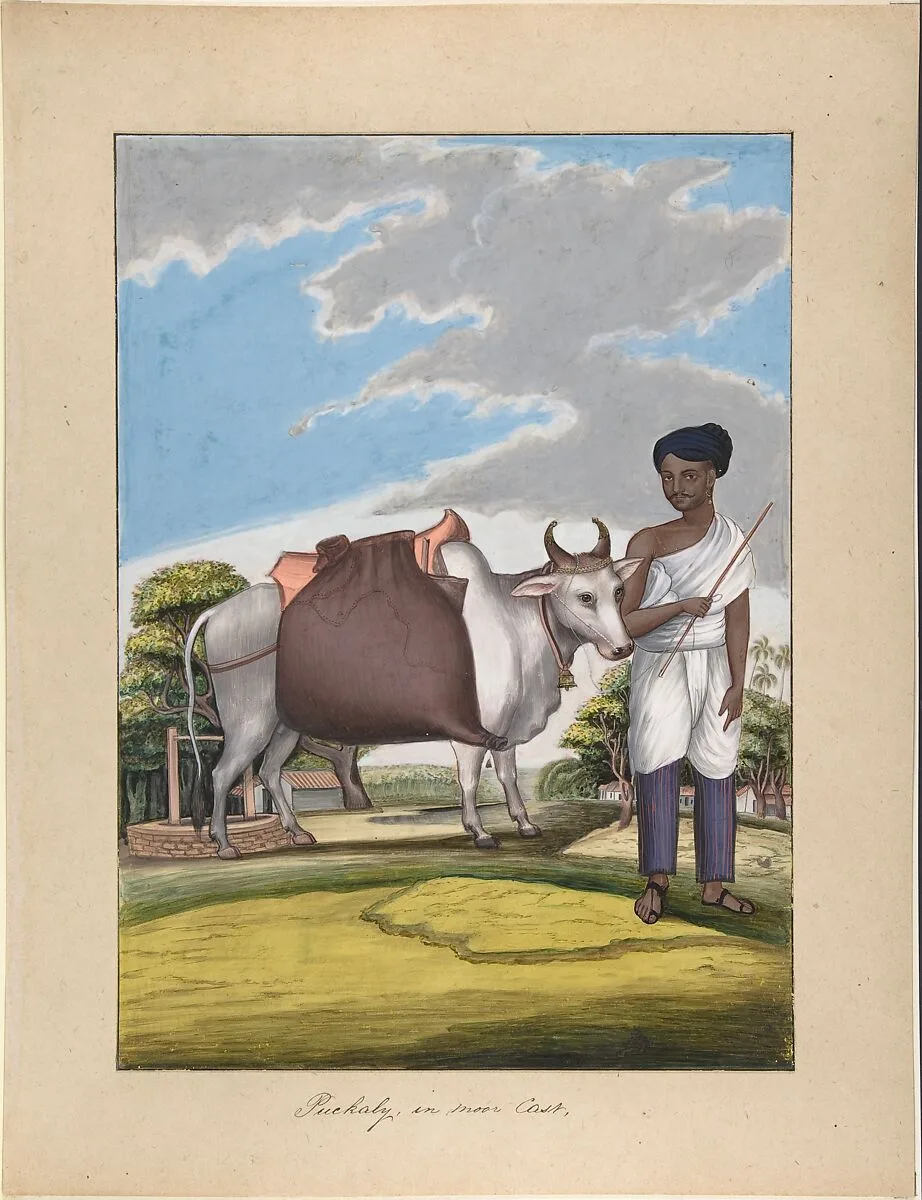 Puckaly in Moor Cast, from Indian Trades and Castes — Anonymous, Indian, 19th century