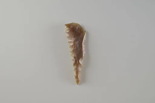 Denticulated Tool