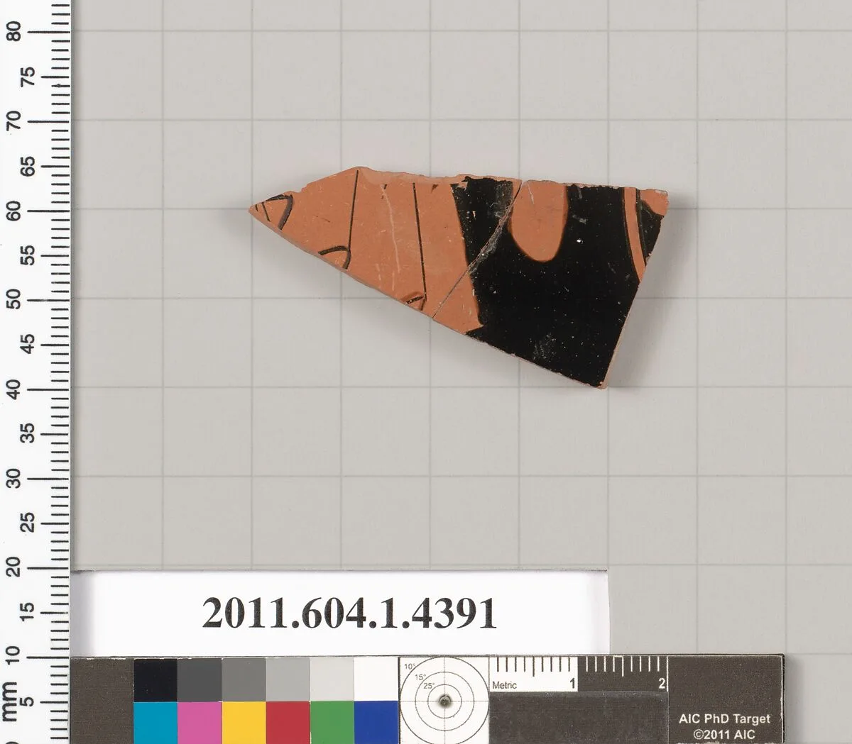 Terracotta fragment of a kylix (drinking cup) — Unknown