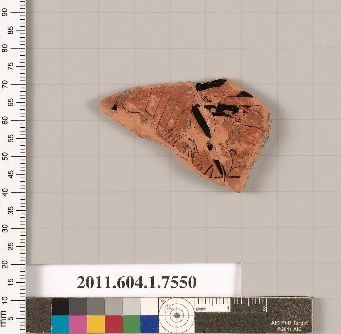 Terracotta fragment of a kylix (drinking cup) — Unknown