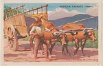 Mexican Carreta from Story of Transportation Educational Pictures (W608-6) — Unknown