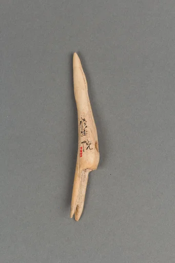 燕方銛頭|Toggle harpoon head