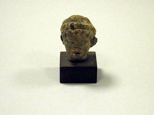 Head of a Black African youth