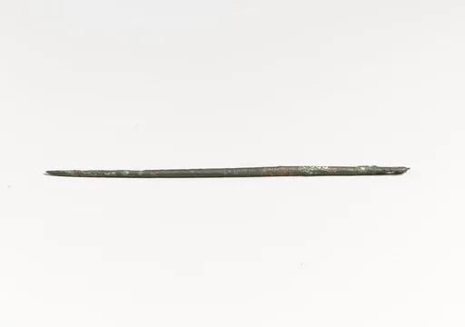 Needle