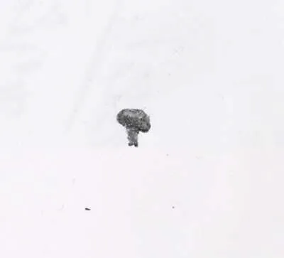 Tacks — Unknown