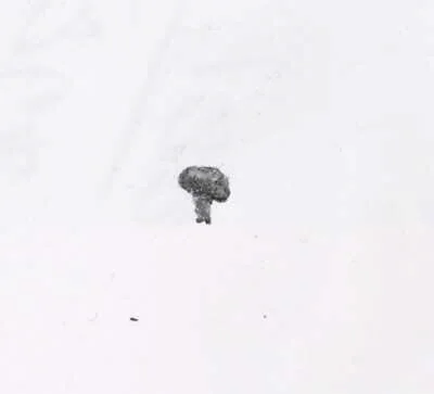 Tacks