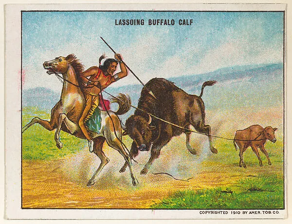 Lassoing Buffalo Calf, from the "Indian Life in the 60's" series (T73), issued with Hassan Cork Tip Cigarettes by the American Tobacco Company — American Tobacco Company
