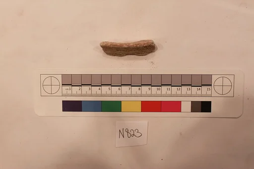 Stucco Fragment