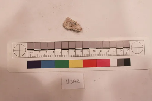 Stucco Fragment